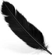 stageWidth feather